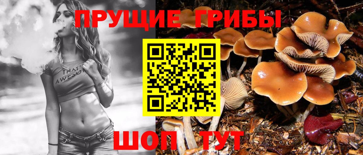 Псилоцибиновые грибы Cubensis  сколько стоит  Сунжа  Вход с VPN 